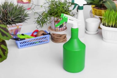 Montaj cihazları-Pulverizatör yerli bitki Püskürtme için.