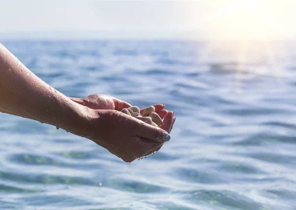 Морская галька в руке . — стоковое фото