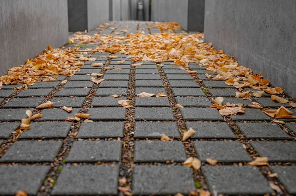 Memorial do Holocausto em Berlin, Alemania. — Fotografia de Stock