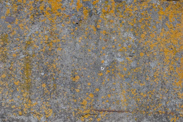 eski beton duvar, doku arka plan