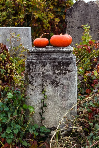 墓地ハロウィーン休日古い庭のオレンジ色のカボチャ ギフト ロマンチックな — ストック写真