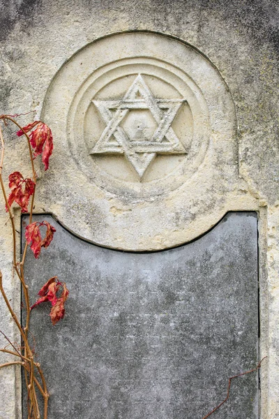 An old Jewish cemetery with religious symbols. Flowers on a background of old stones. A beautiful texture of old gem stones combined with autumn flowers and leaves.