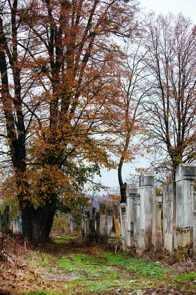 Jüdischer Grabstein Blumen Stein Symbol Embem Hintergrund Friedhof alten Granit Marmor Schrift Buchstaben — Stockfoto