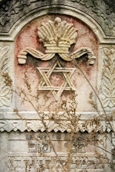 An old Jewish cemetery with religious symbols. Flowers on a background of old stones. A beautiful texture of old gem stones combined with autumn flowers and leaves.