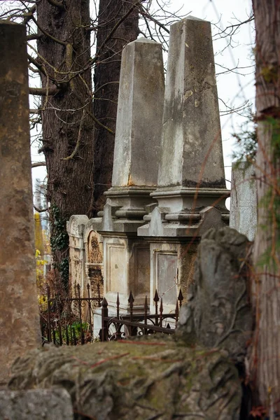 Sepolcro ebraico fiori pietra simbolo embem sfondo cimitero vecchio granito marmo font lettere — Foto Stock