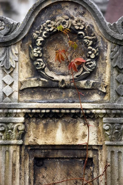 An old Jewish cemetery with religious symbols. Flowers on a background of old stones. A beautiful texture of old gem stones combined with autumn flowers and leaves.