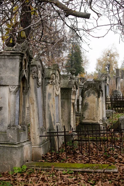 Sepolcro ebraico fiori pietra simbolo embem sfondo cimitero vecchio granito marmo font lettere — Foto Stock