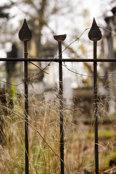 Judía Headstone flores piedra símbolo embem fondo cementerio viejo granito mármol letra letras — Foto de Stock