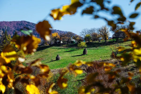 Natur Herbst Sonnenschein Blätter gelb — Stockfoto