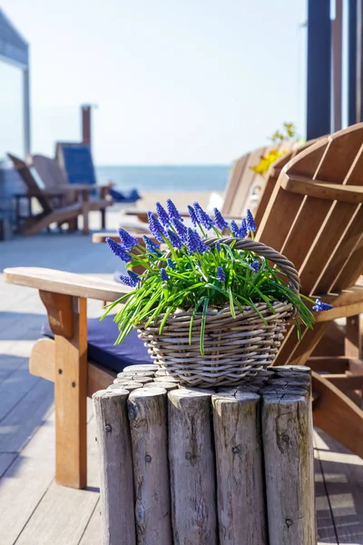 table cafe beach sea flowers vase blue white lavender purple chairs sand sun light romantic