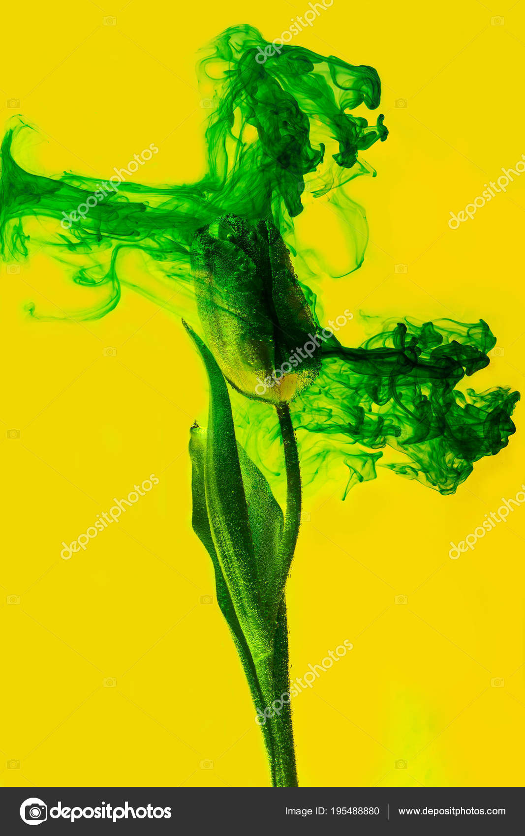 Fond De Leau Jaune Fleur Blanche à Lintérieur Sous Létang