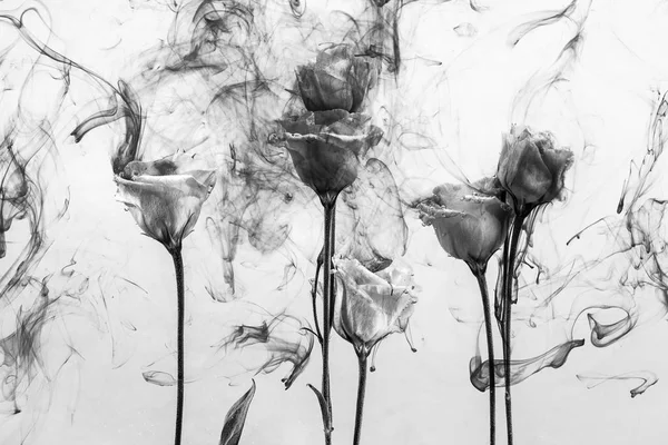 Fleur eau fond blanc intérieur sous peintures acrylique rose fumée stries noir — Photo