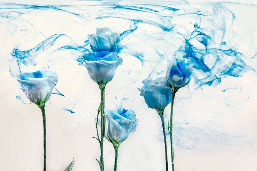 White poses inside in water on a white background. Flowers is under the water with acrylic blue paints.