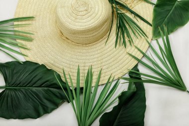 şapka yeşil plam yaprakları baclground yaz tatil tatil beyaz hasır afiş kartpostal üstten görünüm anız thatch tropikal