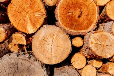 Kapalı ahşap kesim kütükleri ağaç kesimi sarı kahverengi arka plan ışık gölgesi