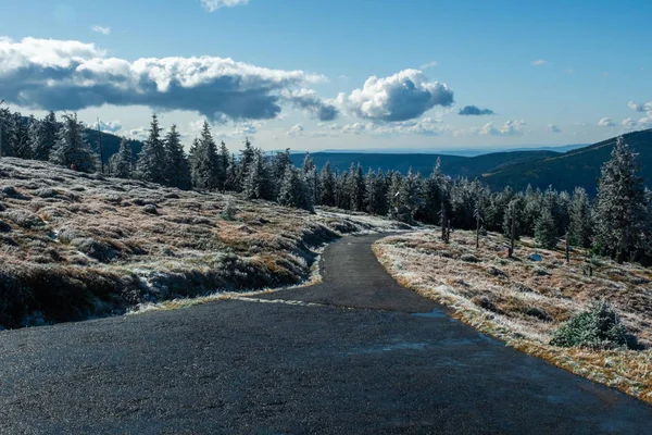 Zimní les zelená hora sníh stromy první smrk modrá jehličí silnice oblak nebe cesta — Stock fotografie