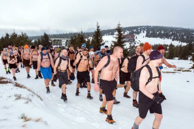 POLAND - 27 Ocak 2020: Wim Hof Çek Cumhuriyeti 'nden Polonya' ya Karkonoska, Przesieka dağları üzerinden kış seferi.