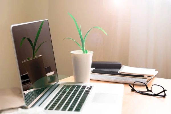 Green plant are on the laptop. Close-up of the working place during the period of pandemic. The concept of stay home.