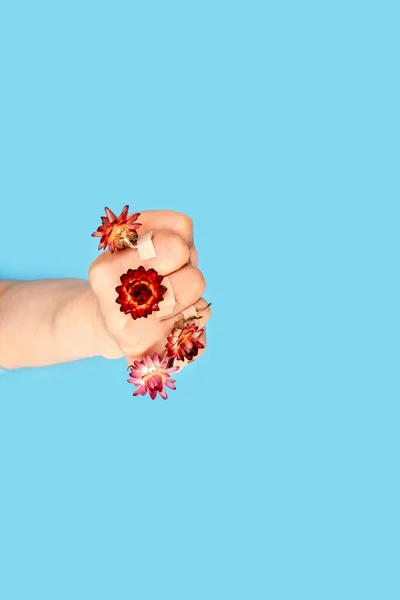Rózsaszín Virágok Ragasztó Tapasszal Kézen Ököl Kék Háttér Formájában Fogalom — Stock Fotó