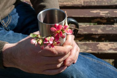 Erkeklerin eli, üzerinde pembe çiçek açan bir fincan tişört ya da kahve tutuyor. Hastalık ve salgın hastalıktan sonraki bahar kavramı..