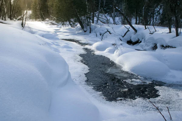 Bela floresta de inverno. Feliz Natal e Ano Novo. Natureza da Sibéria . — Fotografia de Stock