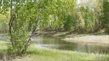 Sibirya'da sıcak soğuk kıştan sonra bahar günler. Soğuk kış sonra doğanın uyanış.
