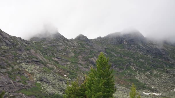 Very beautiful mountain landscape. A panoramic view from the mountain pass in Siberia — Stock Video