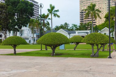 Deniz kıyısında havuzu olan güzel bir otel binası. Dinlenecek havuzu ve tatili olan en güzel sahil.
