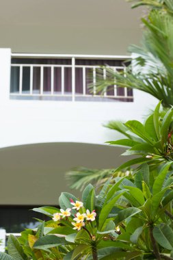 Bereketli bitki örtüsü ve muhteşem peyzajı olan güzel bir otel.