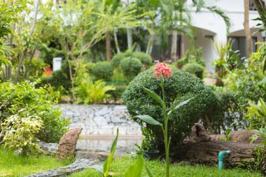 Bereketli bitki örtüsü ve muhteşem peyzajı olan güzel bir otel.