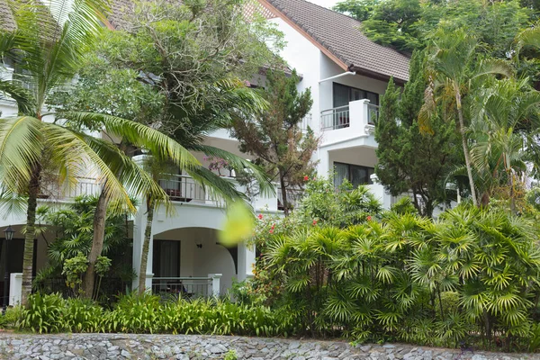 Bereketli bitki örtüsü ve muhteşem peyzajı olan güzel bir otel.