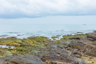 Okyanus kıyısındaki taşlar ve kayalar bir göçün ardından