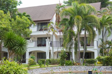 Tayland 'daki otelin bölgesinde vahşi bitki örtüsü. Pattaya, Zirve Temmuz 2019