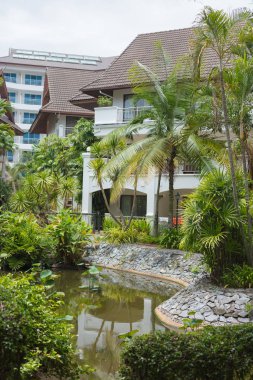 Tayland 'da otelin bölgesinde güzel çiçekler. Pattaya, Pinnacle Oteli, Temmuz 2019