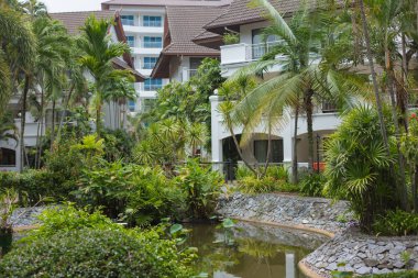 Tayland 'daki otelin bölgesinde vahşi bitki örtüsü. Pattaya, Zirve Temmuz 2019