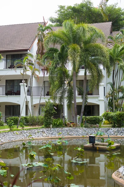 Tayland 'daki otelin bölgesinde vahşi bitki örtüsü. Pattaya, Zirve Temmuz 2019