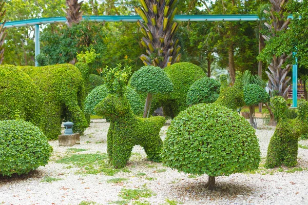 Hayvanların güzel figürleri şehir sokaklarının çimlerinde büyüyen bitkilerden infaz edildi.