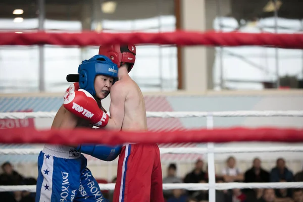 Competição Russa Xvlll Cup Siberia Rússia Krasnoyarsk Fevereiro 2020 Kickboxing — Fotografia de Stock