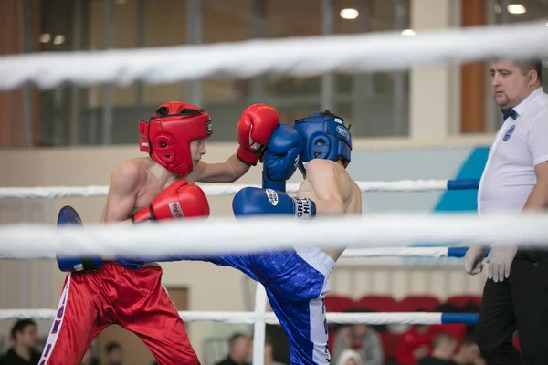 Ogólnorosyjski Konkurs Xvlll Cup Siberia Rosja Krasnojarsk Lutego 2020 Kickboxing — Zdjęcie stockowe