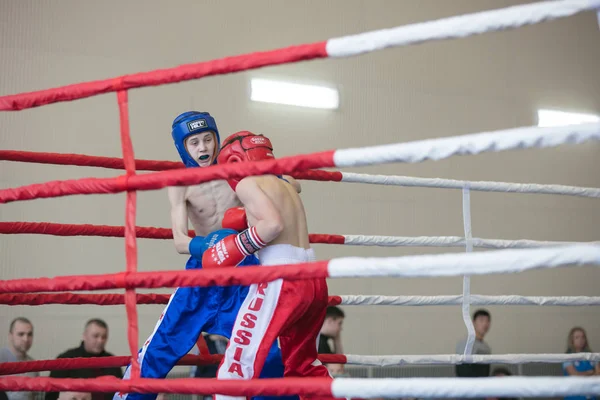 Ogólnorosyjski Konkurs Xvlll Cup Siberia Rosja Krasnojarsk Lutego 2020 Kickboxing — Zdjęcie stockowe