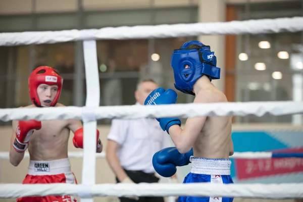 Ogólnorosyjski Konkurs Xvlll Cup Siberia Rosja Krasnojarsk Lutego 2020 Kickboxing — Zdjęcie stockowe