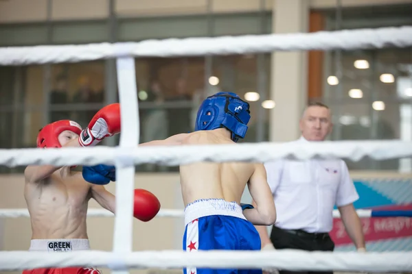 Ogólnorosyjski Konkurs Xvlll Cup Siberia Rosja Krasnojarsk Lutego 2020 Kickboxing — Zdjęcie stockowe