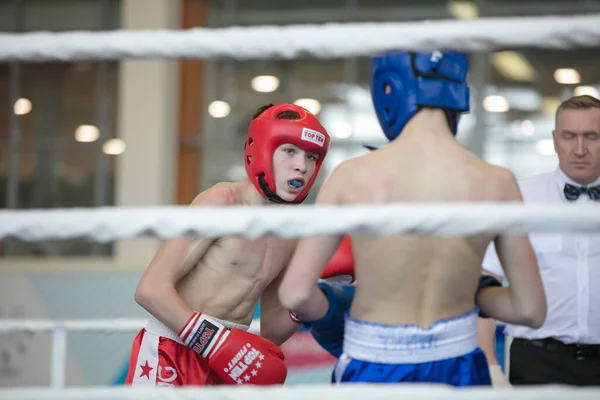 Ogólnorosyjski Konkurs Xvlll Cup Siberia Rosja Krasnojarsk Lutego 2020 Kickboxing — Zdjęcie stockowe