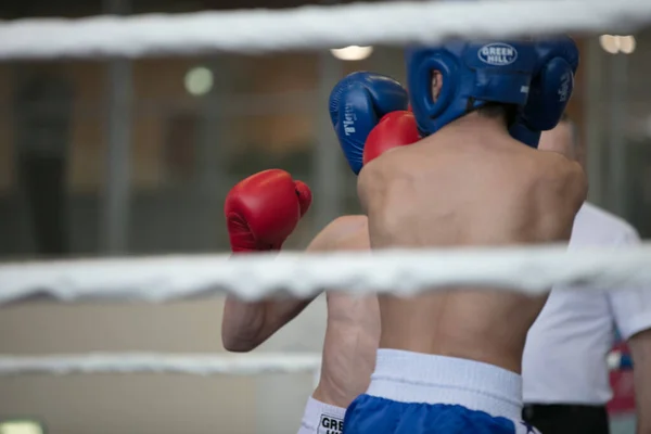 Celoruská Soutěž Xvlll Cup Siberia Rusko Krasnojarsk Února2020 Kickbox Junior — Stock fotografie