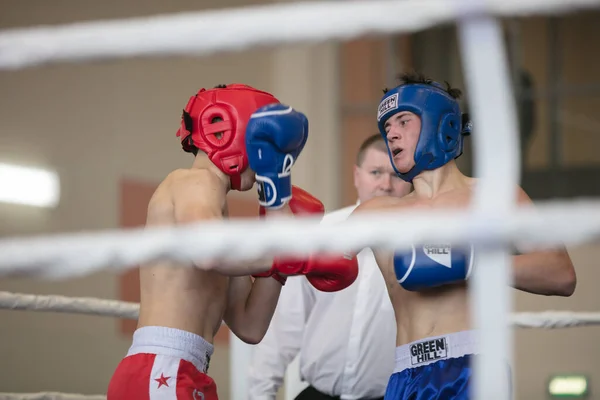 Ogólnorosyjski Konkurs Xvlll Cup Siberia Rosja Krasnojarsk Lutego 2020 Kickboxing — Zdjęcie stockowe