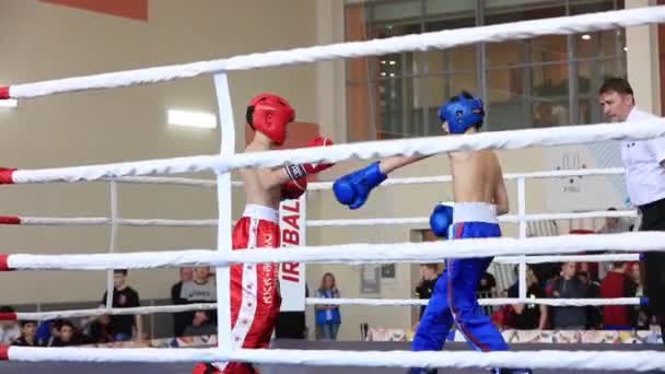 Celoruská Soutěž Xvlll Cup Siberia Rusko Krasnojarsk Února2020 Kickbox Junior — Stock video