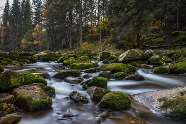 Vydra Nehri, Sumava Ulusal Parkı, Çek Cumhuriyeti - sonbahar