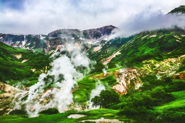 Efsanevi Valley, Geysers yaz aylarında. Kamçatka, Rusya Federasyonu
