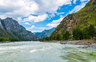 Dağ nehir Katun, Rusya, Sibirya, Altay Dağları, Katun RI