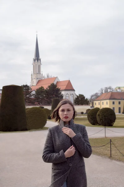 Kilisenin Viyana'da çatısı